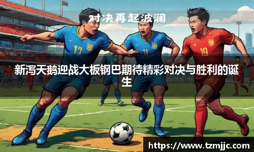 新泻天鹅迎战大板钢巴期待精彩对决与胜利的诞生